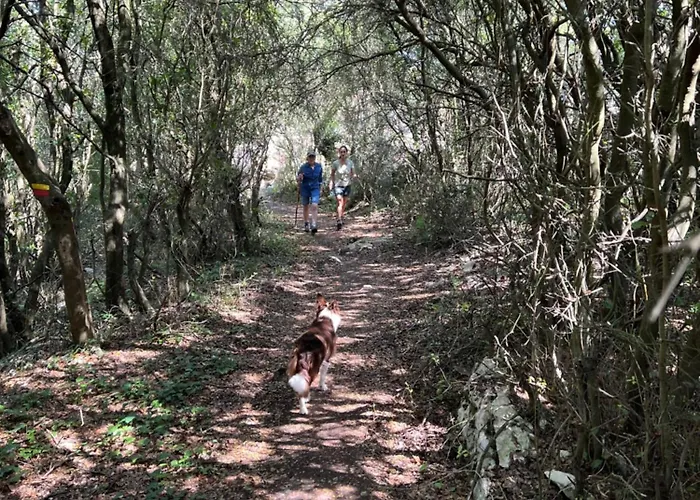 Quinta Do Espelho D'agua, Estudio *